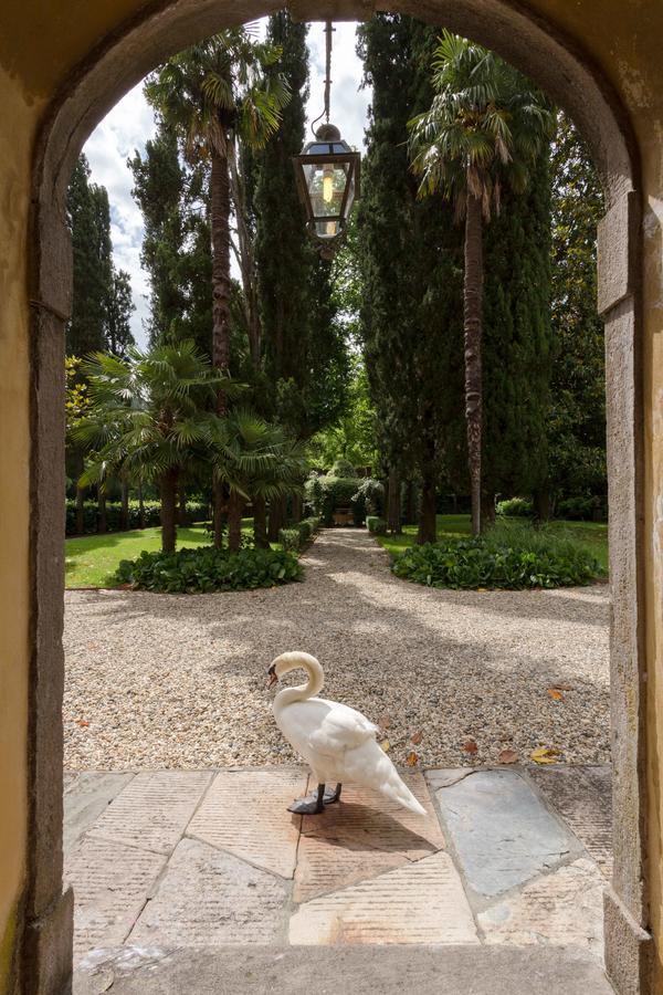Coselli 's Collection. Luxury Villas Rental Capannori Esterno foto